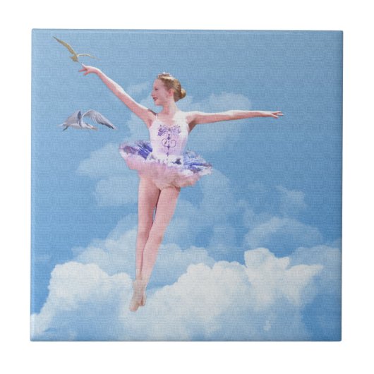 Carreau Ballerine, nuages, tuile d'oiseaux (Devant)