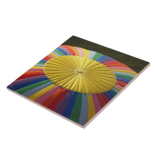 Carreau Balloon à air chaud, près de Methven, Canterbury 2 (Côté)