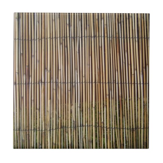 Carreau bambou de faux (Devant)