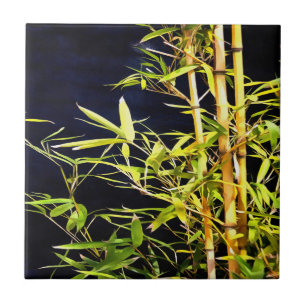Carreau Bambou Foliage Art Tropical Sur Noir