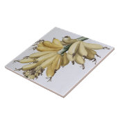 Carreau Banane, 1816 (Côté)