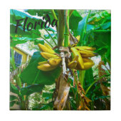 Carreau Banane tropicale Palm Tree St Augustine Floride (Devant)