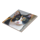 Carreau Bandit (Côté)