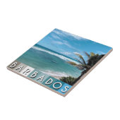 Carreau Barbade Beach (Côté)