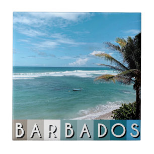 Carreau Barbados Beach
