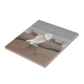 Carreau Barn Owl (Côté)