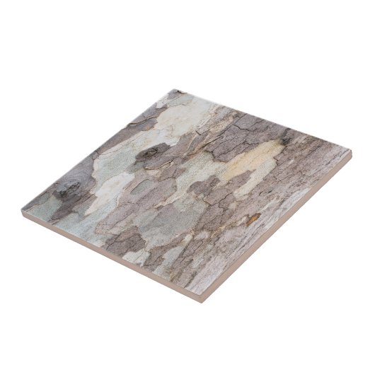 Carreau Barque d'arbre (Côté)