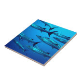Carreau barracuda plongée mer profonde océan eau tropicale (Côté)