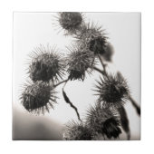 Carreau Barrage sec (Devant)