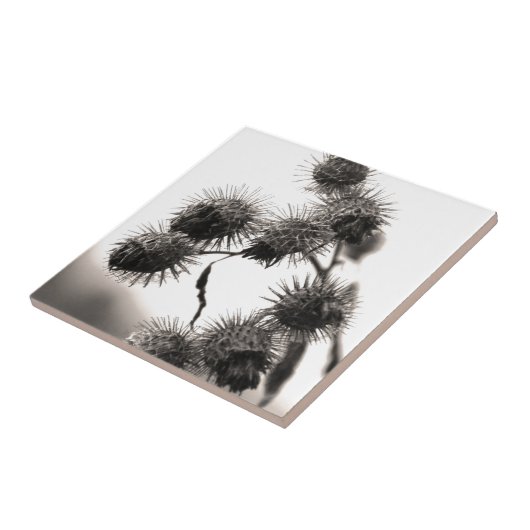 Carreau Barrage sec (Côté)