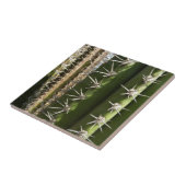 Carreau Barrel Cactus II Désert Nature Photo (Côté)