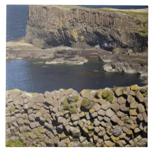 Carreau basalte polygonal, Staffa, au large de l'île de Mu