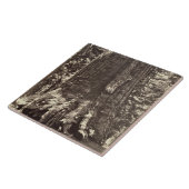 Carreau Base du géant grisâtre, 'du livre de Yosemite (Côté)