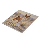 Carreau Basenji (Côté)