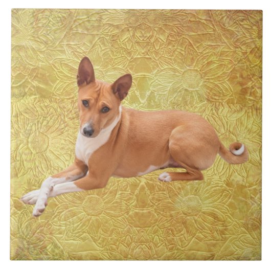Carreau Basenji Dog  (Devant)