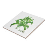 Carreau Basil Herb Verdure Cuisine culinaire Vert (Côté)