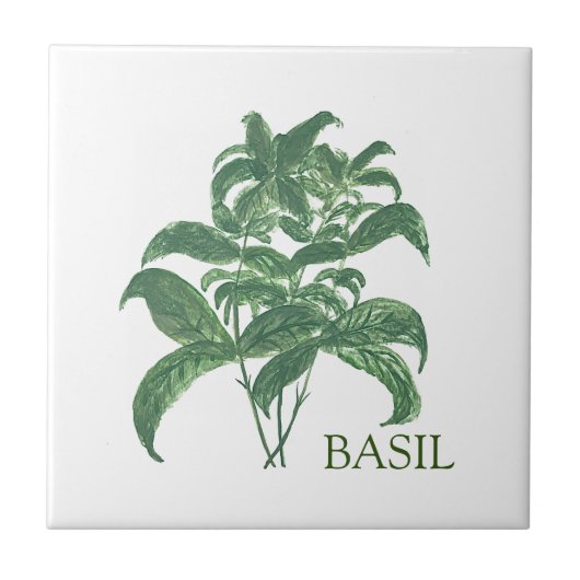 Carreau Basil Herb Verdure Cuisine culinaire Vert (Devant)