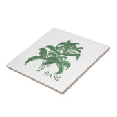Carreau Basil Herb Verdure Cuisine culinaire Vert (Côté)