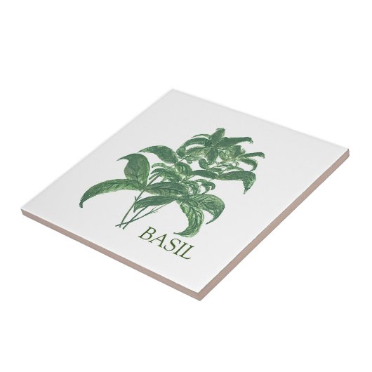 Carreau Basil Herb Verdure Cuisine culinaire Vert (Côté)