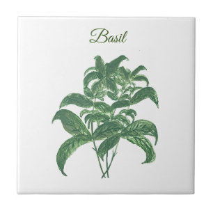 Carreau Basil Herbs Verdure Cuisine verte Plante