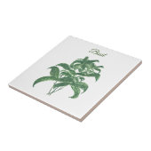 Carreau Basil Herbs Verdure Cuisine verte Plante (Côté)