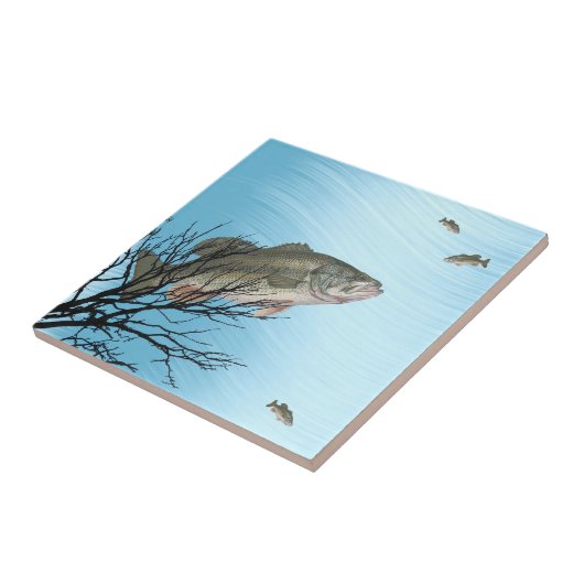 CARREAU BASS-TILE DE LARGE OUVERTURE (Côté)