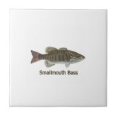 Carreau Basse de Smallmouth (Devant)