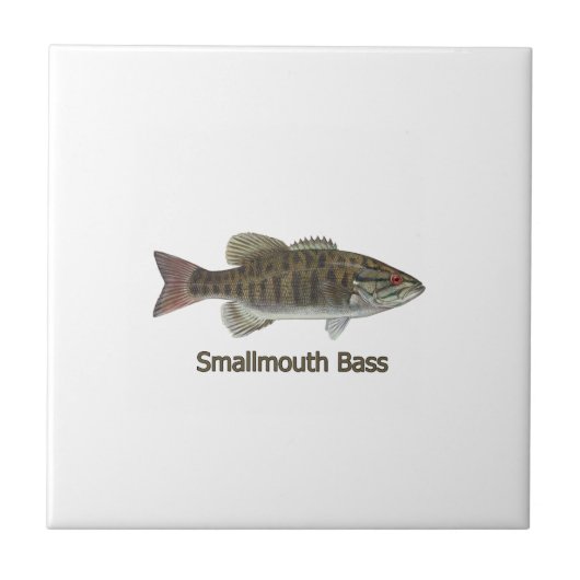 Carreau Basse de Smallmouth (Devant)
