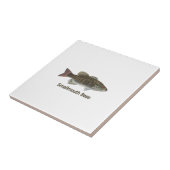 Carreau Basse de Smallmouth (Côté)