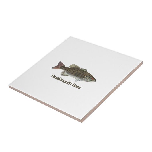 Carreau Basse de Smallmouth (Côté)