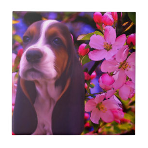 Carreau Basset Hound Chien Chien Art