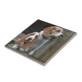 Carreau Basset Hound Puppy Et Beagle Buddy (Côté)