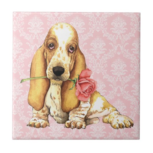 Carreau Basset rose de Valentine (Devant)