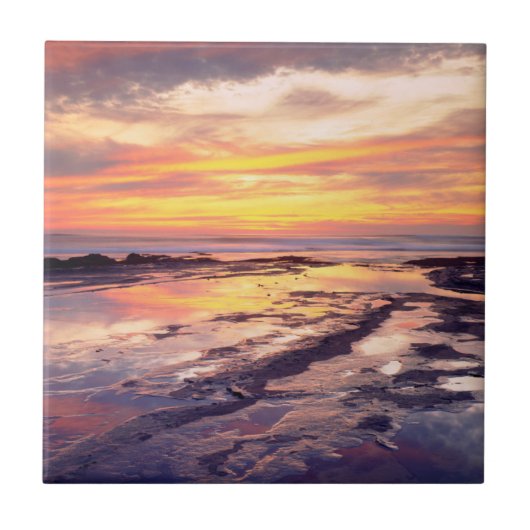 Carreau bassins de marée de Sunset Cliffs (Devant)