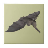 Carreau Bat Elephant Hybride (Devant)