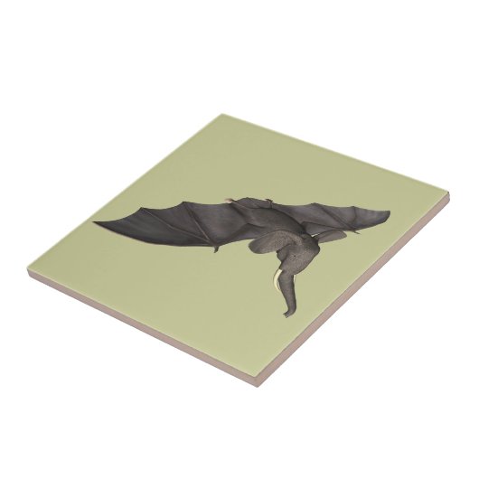 Carreau Bat Elephant Hybride (Côté)