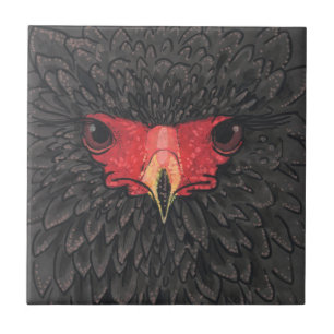 Carreau Bateleur Eagle African Bird Portrait Papier Collag