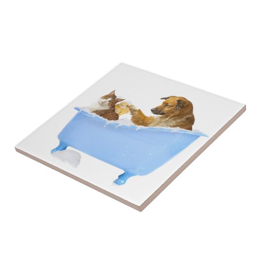 Carreau Bath time (Côté)