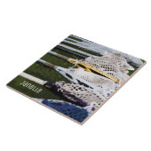 Carreau Bâtons de crosse à aquarelle (Côté)