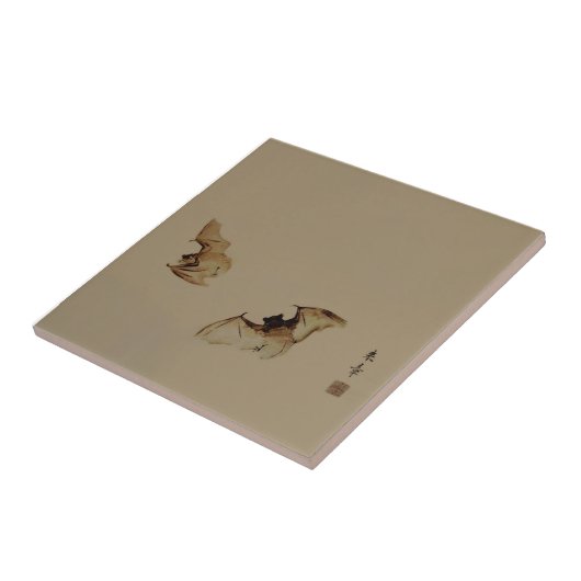 Carreau Battes de peinture de zen (Côté)