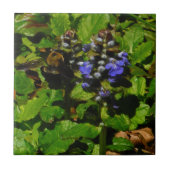 Carreau Baume d'abeille pourpre et bourdon (Devant)