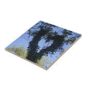 Carreau Baumherz (Côté)