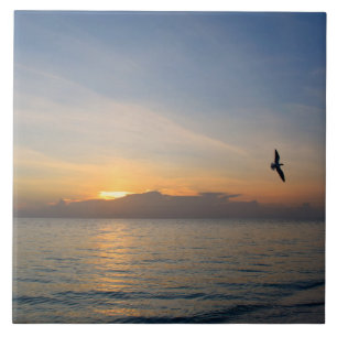 Carreau Beach Ocean Sunset Photo 195