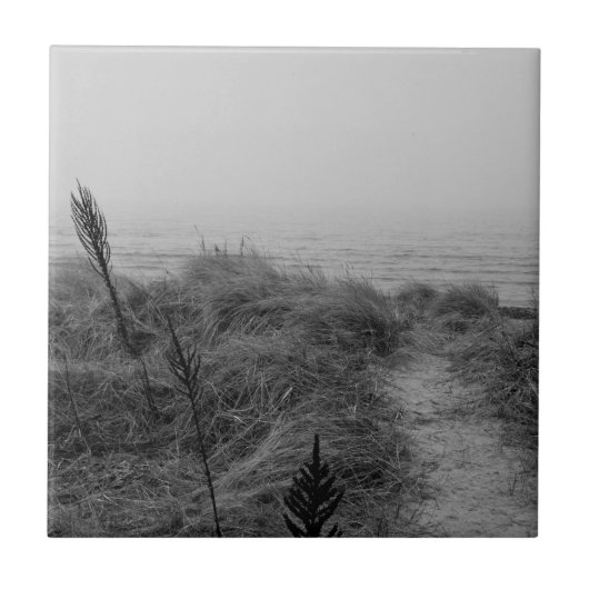 Carreau Beach path (Devant)