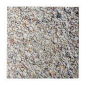 Carreau Beach Shells Sea Shell Arrière - plan Ocean Textur (Devant)