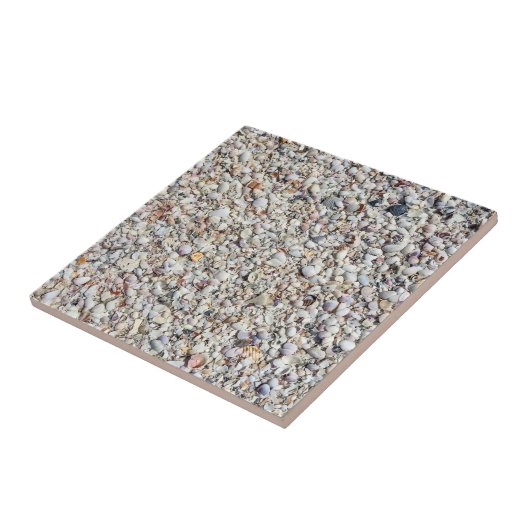 Carreau Beach Shells Sea Shell Arrière - plan Ocean Textur (Côté)