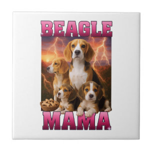 Carreau Beagle