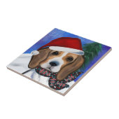 Carreau Beagle (Côté)