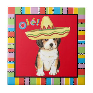 Carreau Beagle Fiesta