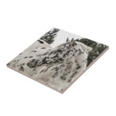 Carreau Beau Appaloosa Horse (Côté)